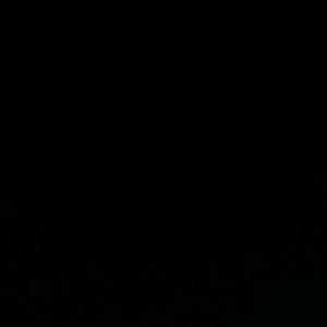 Meet your Posher, Jayson